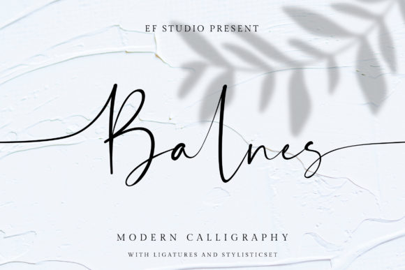 Balance Your Brand with Balnes