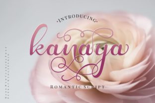 Kanaya: A Modern Script Font