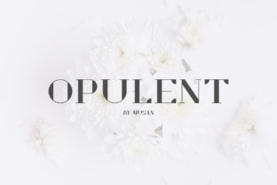 Opulent: A Premium Serif Font